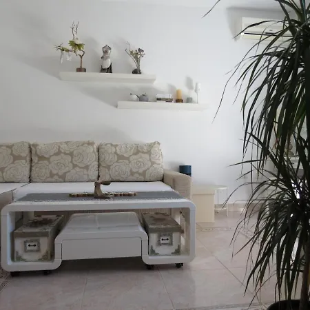 Eco Friendly Apartment