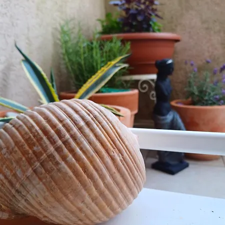 Apartmán Eco Friendly