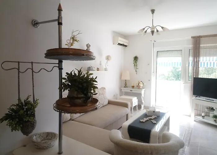 Eco Friendly Ližnjan